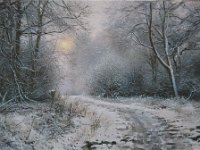 Landscapes - Sold (54)